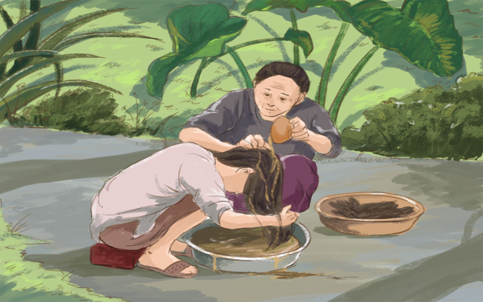 Ký Ức Tuổi Thơ Từ Hương Bồ Kết Của Mẹ