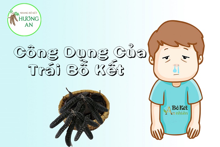 Công Dụng Tuyệt Vời Của Trái Bồ Kết